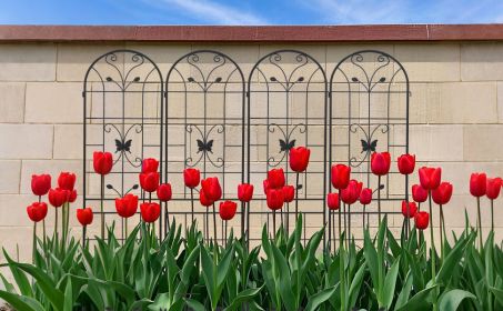 4 Pack Metal Garden Trellis 86.7" x 19.7" Rustproof Trellis for Climbing Plants Outdoor Flower Support (Color: Black)